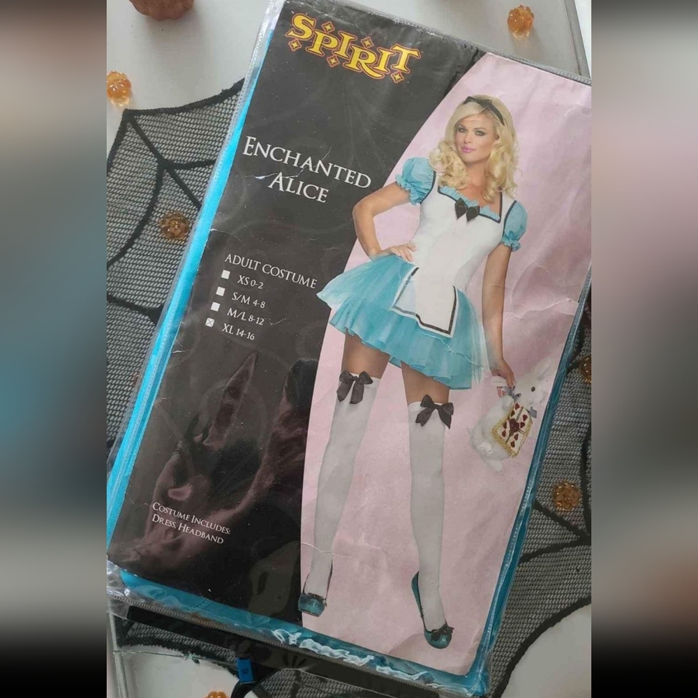 NEW "Enchanted Alice" costume (xl 12-14) - Picture 2 of 2